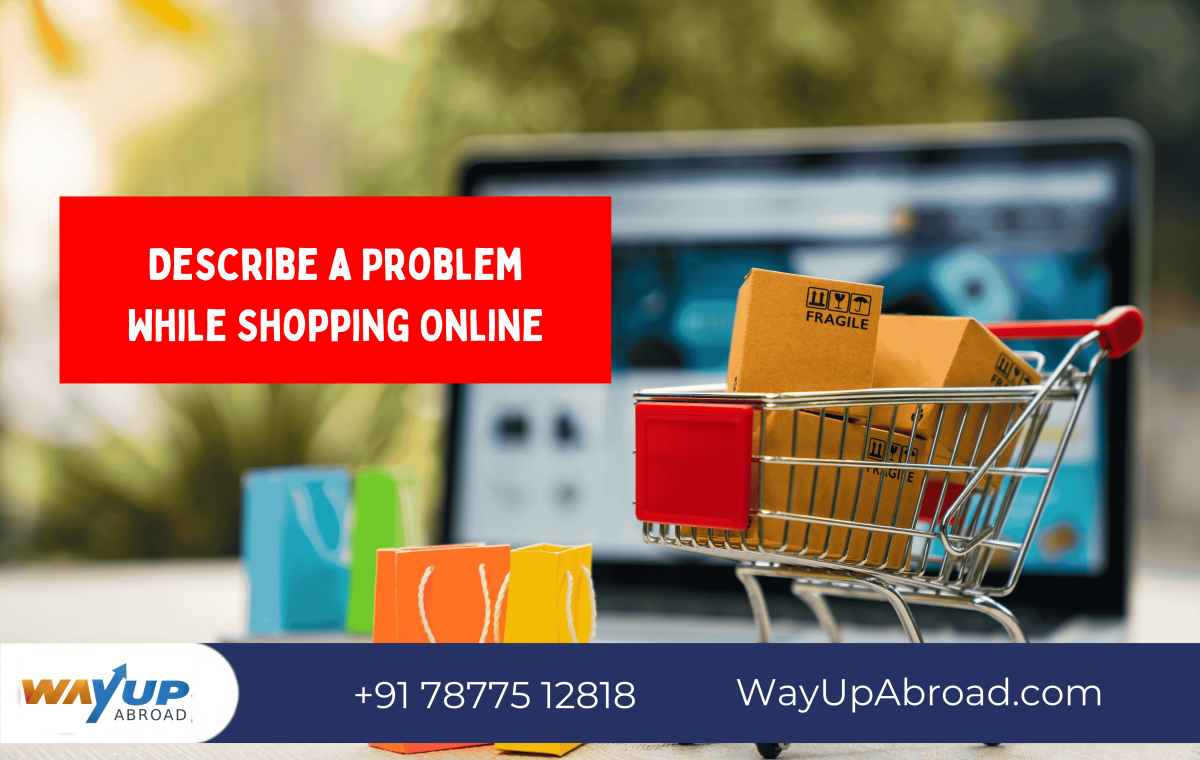 Describe a Problem While Shopping Online